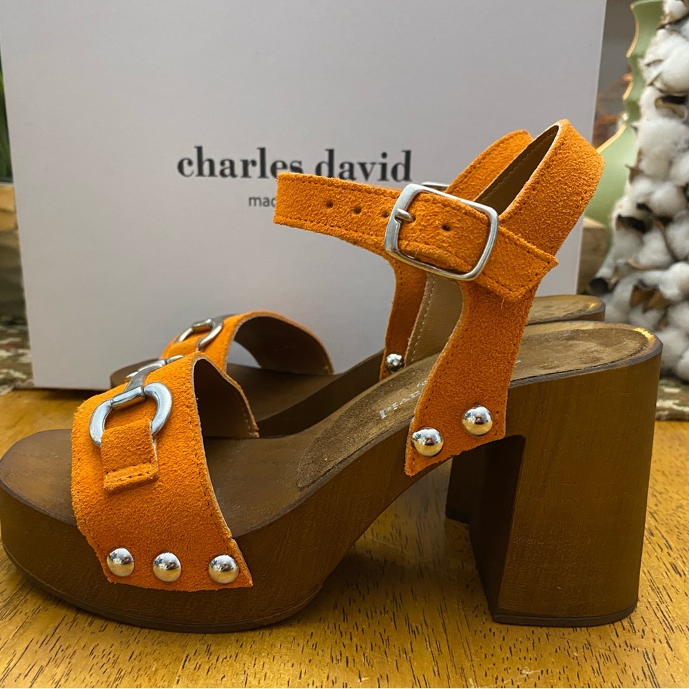 Charles  David Sandals